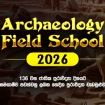 Archaeology Field School - 2026